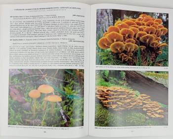 Miroslav Beran: Velký fotoatlas hub z jižních Čech