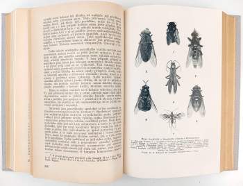Jan Obenberger: Velký ilustrovaný přírodopis všech tří říší