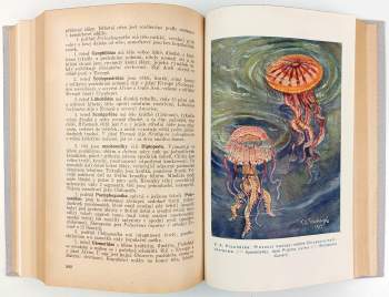 Jan Obenberger: Velký ilustrovaný přírodopis všech tří říší