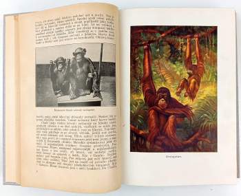 Jiří Janda: Velký ilustrovaný přírodopis všech tří říší