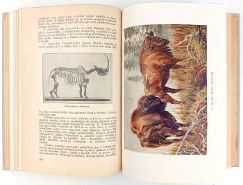 Jiří Janda: Velký ilustrovaný přírodopis všech tří říší