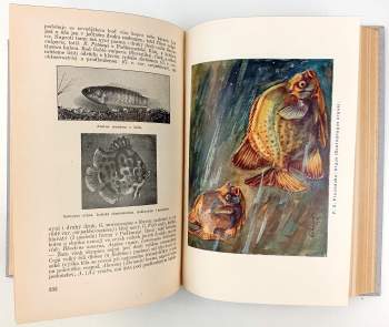 Josef Florián Babor: Velký ilustrovaný přírodopis všech tří říší
