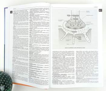 Jan Hugo: Velký lékařský slovník