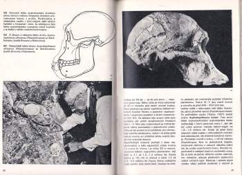 Jan Jelínek: Velký obrazový atlas pravěkého člověka