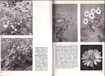 František Antonín Novák: Velký obrazový atlas rostlin