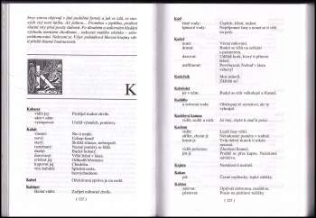 Dagmar Kludská: Velký snář