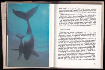 Jacques-Yves Cousteau: Velryba