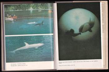 Jacques-Yves Cousteau: Velryba