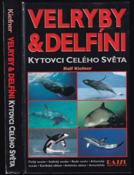 Velryby a delfíni : kytovci celého světa : Tichý oceán,Indický oceán,Rudé moře,Atlantský oceán,karibská oblast,arktická oblast, Antarktida : více než 