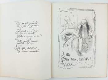 Mikoláš Aleš: Věnec národních písní