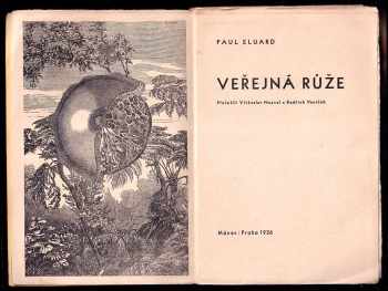 Paul Éluard: Veřejná růže