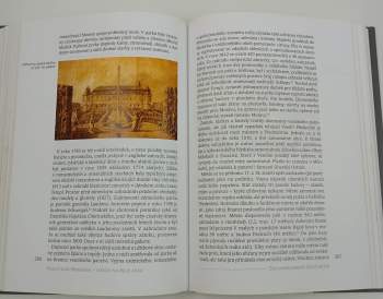 Miroslav Plaček: Veselí nad Moravou