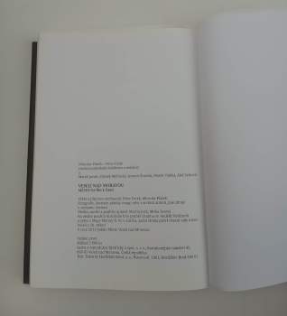 Miroslav Plaček: Veselí nad Moravou