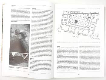 Miroslav Plaček: Veselí nad Moravou