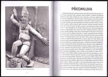 Jan Rund: Veselý Sokolov