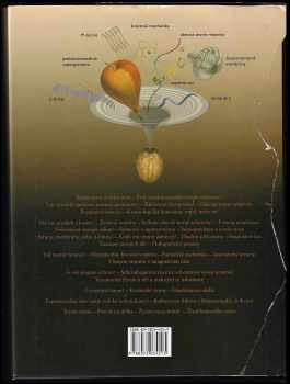 S. W Hawking: Vesmír v kostce