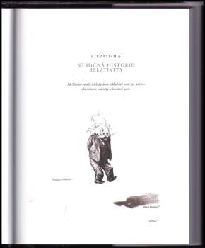 S. W Hawking: Vesmír v kostce