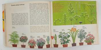 Vítězslav Kocourek: Vesmír, Země, člověk a my děti