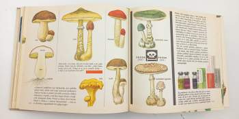 Vítězslav Kocourek: Vesmír, Země, člověk a my děti