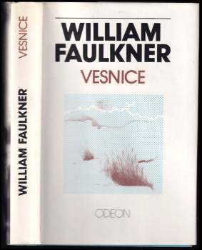 Vesnice