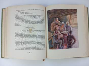 Antoon Coolen: Vesnický lékař