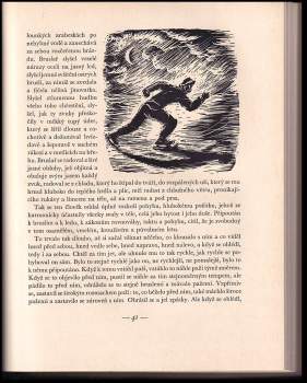 Antoon Coolen: Vesnický lékař