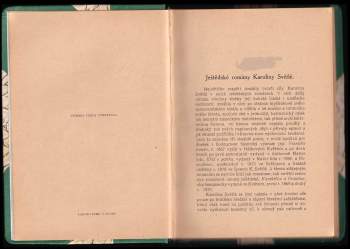 Karolina Světlá: Vesnický román