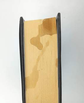 Yvonne Navarro: Vetřelci