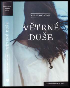 Větrné duše