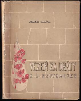 Rajmund Habřina: Vězeň za dráty