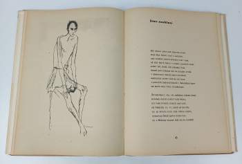 Vězeň za dráty : K.L. Mauthausen