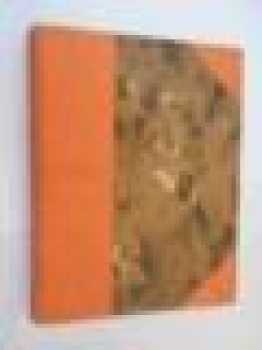 Vězňové na Špilberku