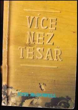 Více než tesař