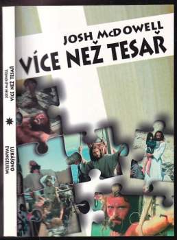 Více než tesař