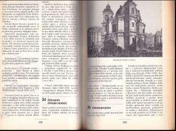 Václav Fiala: Vídeň