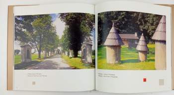 Petr Sikula: Viděno třemi