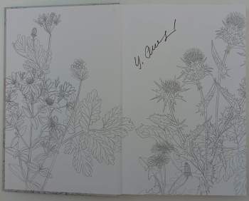 Stanislava Emmerlingová: Vidím to jinak