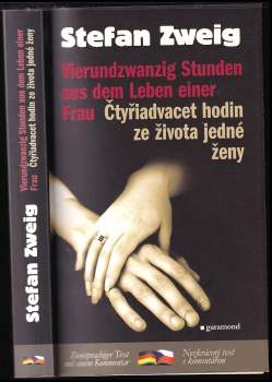 Vierundzwanzig Stunden aus dem Leben einer Frau