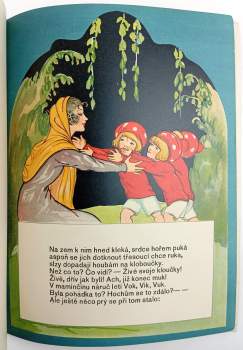 Vilma Sokolová: Vik, Vok, Vuk a čarodějnice