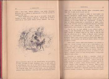 Léon Barracand: Vikomtessa