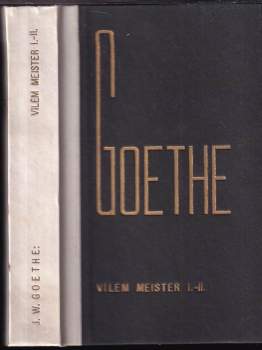 Viléma Meistera léta učednická