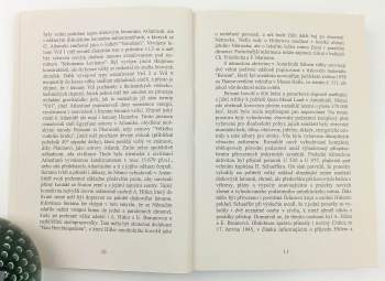Ivo Wiesner: Vimaanika shaastra, aneb, Jak létali bohové?