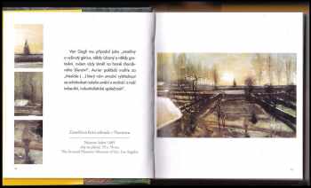 Vincent van Gogh: Vincent van Gogh