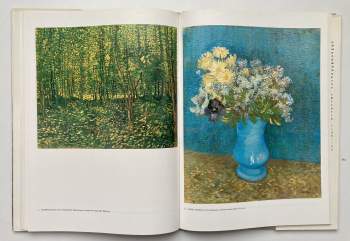 Paolo Lecaldano: Vincent van Gogh