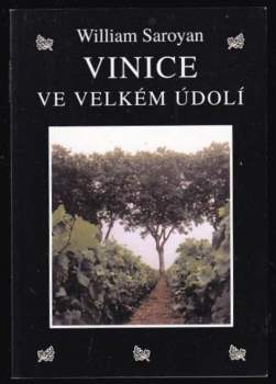 Vinice ve velkém údolí