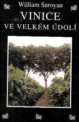 Vinice ve velkém údolí