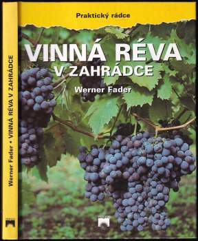 Vinná réva v zahrádce