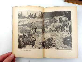 Karl May: Vinnetouův odkaz