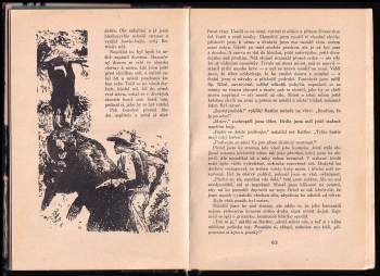 Karl May: Vinnetou