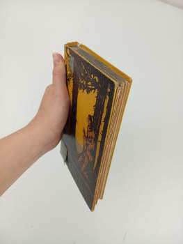 Karl May: Vinnetouův odkaz